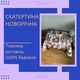 Скатерть с новогодним принтом рогожка 150х180 см Серый (Д-post-skatert-002-02) - изображение 2
