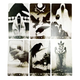 Таро Ворон Смерти, уменьшенная (Murder of Crows Tarot) - изображение 3