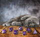 Zestaw kości Q-Workshop Cats Dice Kit Koci Purrito 7 elementów (5907699496570) - obraz 4