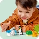 Конструктор LEGO DUPLO Town Сімейства диких тварин: Пінгвіни та Леви 10 деталей (10442) - зображення 6