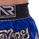 Шорты для тайского бокса и кикбоксинга Another Boxing Heroe 2346 размер L (48-50) Blue-Black-Silver - изображение 4