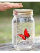 Детский ночник Butterfly интерактивный светильник порхающая бабочка в банке с подсветкой - изображение 2