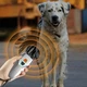 Відлякувач собак ультразвуковий Ultrasonic Dog Repeller PU70 8669 з ліхтариком Black - зображення 2
