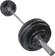 Наборная штанга Newt олимпийская 175 кг (TI-NE0175-2200) - изображение 1