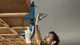Шуруповерт Bosch Professional GTB 650 + кейс (06014A2000) - изображение 5