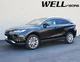 Дефлекторы окон Wellvisors с хромированным молдингом передние и задние Toyota Venza 2021-2023 4 шт (3-847TY065) - изображение 6