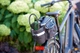 Автомобильный насос Bosch EasyPump аккумуляторный с французским клапаном, иглой для мяча, адаптером объема, USB-кабелем и текстильной сумкой (0603947000) - изображение 6