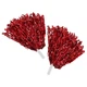 Помпоны для черлидинга и танцев красные SP-Sport Pom-Poms 0828 комплектация 2шт Red - изображение 1