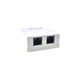 Розетка EServer WT-2015A 2×RJ-45 Cat5E внешняя для Ethernet 100BASE-T(DL_138E1E6420D7) - изображение 1