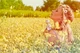 Туалетная Вода Marc Jacobs Daisy Dream 100 Мл Тестер - изображение 7