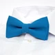 Двошаровий граватка-метелик Gofin блакитного кольору AB-7270 - изображение 8