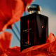 Одеколон унісекс Jo Malone Scarlet Poppy Intense 100 мл (690251126668) - зображення 3