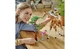Конструктор Lego Creator Дикі тварини сафарі, 780 деталей 31150 - зображення 3