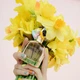 Парфумована вода для жінок Marc Jacobs Perfect 50 мл - зображення 5