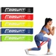 Резинки для фитнеса набор EasyFit из 5 шт (резиновая петля, латексная лента сопротивления, кольцо для йоги на ноги) EFNR5EF - изображение 1