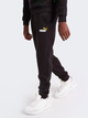 Дитячі теплі спортивні штани на флісі для хлопчика Puma Ess+ 2 Col Logo Pants Fl Cl 586988-54 104 см Чорні (4065449095983) - зображення 1