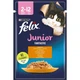 Вологий корм FELIX Fantastic Junior для кошенят шматочки в желе з куркою 85 г - изображение 1
