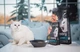 Сухий корм Savory для кошенят всіх порід, зі свіжою індичкою та куркою, 400 г (1111163006) - изображение 5