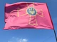 Флаг ВСУ (Вооруженных сил Украины) 105х70 см PromoZP - изображение 2