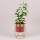 Кашпо металлическое на подставке Flora розовое с золотой полосой H-23.5 см. 39952 - изображение 2