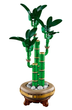 Конструктор LEGO Botanicals Драцена сандера 325 елементів (10344) - зображення 3