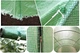 Теплица садовая Garden Line 10 м2 400x250 см (P0025-7-1) - изображение 7