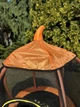 Батут с сеткой WCG Pumpkin (W-1008T) - изображение 5