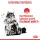 Корм Royal Canin Hair & Skin Care Jelly влажный для кошек с чувствительной кожей 85 гр - изображение 6