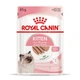 Корм Royal Canin Kitten Loaf вологий паштет для кошенят всіх порід 85 гр - зображення 1