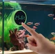 Цифровий термометр для акваріуму Aquatherm LED зовнішній самоклеючий, зелений - зображення 1