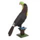 Металлический конструктор 3Д Metal Earth - Keel-billed Toucan, ME1020 - изображение 2