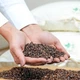 Подушка IDEIA 40x60 - Aromavita с гречневой лузгой хлопок молочный - изображение 9