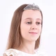 Серебряная диадема (2701) - изображение 4