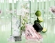 Парфумована вода для жінок Prada Paradoxe Virtual Flower 30 мл - зображення 5