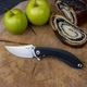 Нож складной Ruike P155-B black - изображение 5