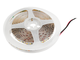Світлодіодна стрічка 1 м AVT SMD2835 168 LED 12В 12Вт IP20 6000-6500К холодний білий - зображення 1