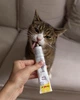Мультивітамінна паста для зміцнення здоров'я старіючих котів GimCat Senior Paste, 50 гр - зображення 4