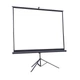 Проекционный экран Atria TRM-HD-110D мобильный тренога 110" 244x137см 16:9 - изображение 4