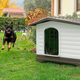 Buda dla psów FERPLAST Dogvilla 70 73x59x53 cm, z otwieranym bokiem (8010690109329) - obraz 5