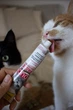 Мальт-паста для котів GimCat DUO PASTE Anti-hairball malt with chicken для виведення вовни при чутливому травленні 50 гр - зображення 5