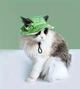 Панама для собак и кошек "AVOKADO" Green Size M - изображение 1