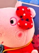 Плюшевая игрушка Свинка Пеппа Фотограф 20 см Peppa из семьи Пеппа Голограмма в коробке Розовая - изображение 3