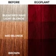 Краска для волос Баклажан Stargazer Semi-permanent hair colour Eggplant 70 мл - изображение 4