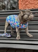 Курточка-накидка для собак WAUDOG Clothes, рисунок "Инжир", размер XS - изображение 6