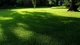 Насіння газонної трави Тіньовитривала 4 кг GreenHome - зображення 4