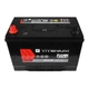 Автомобильный аккумулятор FIAMM Titanium Black Asia 95Аh 760А L+ 7905195 - изображение 2