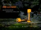 Аккумулятор 21700 Fenix ARB-L21-6000 (ARB-L21-6000) - изображение 5