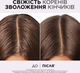 Очищувальний шампунь L'Oreal Paris Elseve Hyaluron Pure для Жирного типу волосся 400 мл (3600524148904) - зображення 5