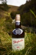 Виски Glenfarclas 25yo 0.7 43% в тубусе (5018066254317) - изображение 4