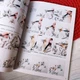 Учебник по рисованию в стиле китайской живописи Гунби-хуа - Девять видов птиц (на китайском) - изображение 4